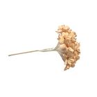 Hydrangea Artificial Natural Color Sola Reed Diffuser Flower